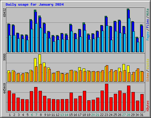 Daily usage for January 2024