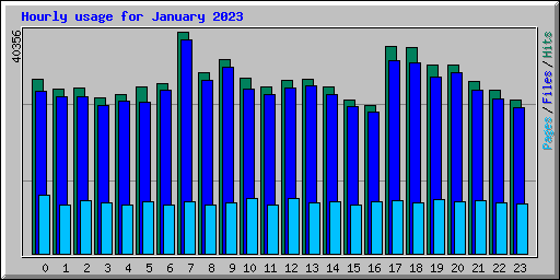 Hourly usage for January 2023