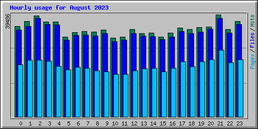 Hourly usage for August 2023