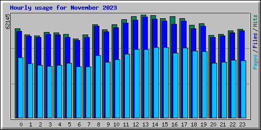 Hourly usage for November 2023