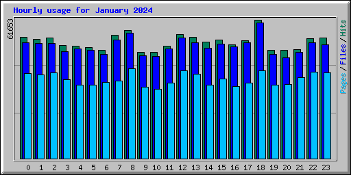 Hourly usage for January 2024