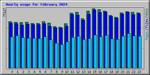 Hourly usage for February 2024