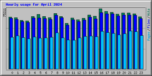 Hourly usage for April 2024
