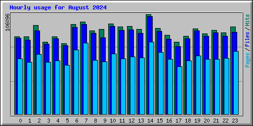 Hourly usage for August 2024