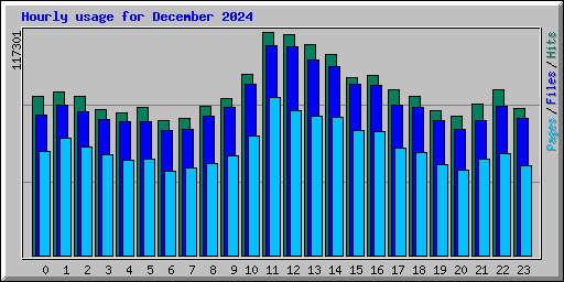 Hourly usage for December 2024