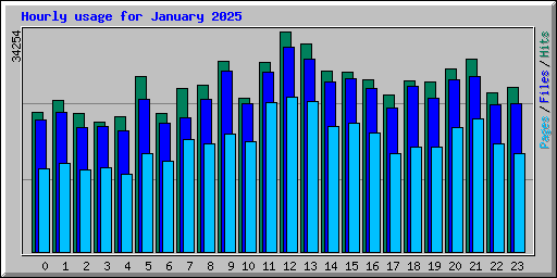 Hourly usage for January 2025