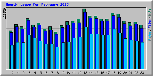 Hourly usage for February 2025