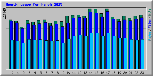 Hourly usage for March 2025