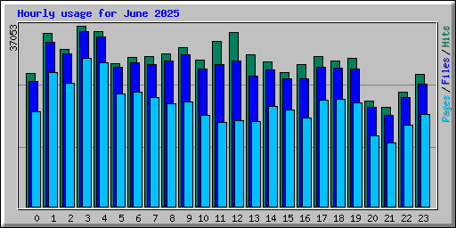 Hourly usage for June 2025