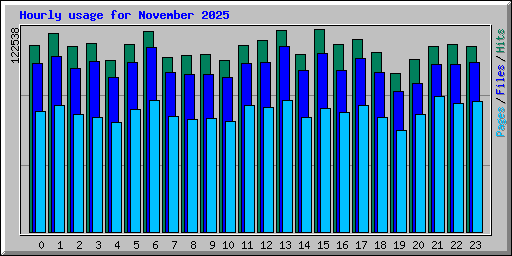Hourly usage for November 2025