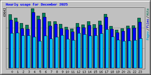 Hourly usage for December 2025