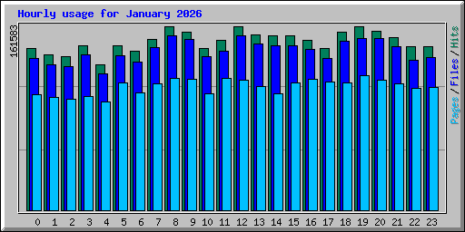 Hourly usage for January 2026